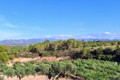 Finca i Rasquera, Tarragona, Rasquera - € 168.000 | Ref: CC799 - foto 12